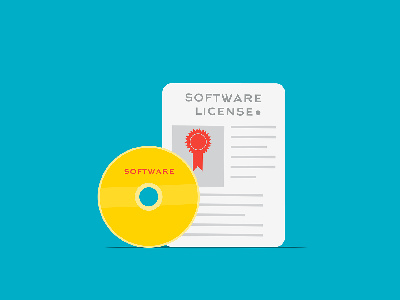 Software License as part of MarTech Audit